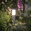 In-lite Liv Low Solitary 12V-2W LED Alu. Rose Silver. WW