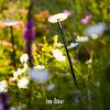 In-lite Sway Tube High  -  losse staander - 100 cm