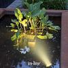 In-lite SUB (NEW) Spot (underwater) 12V - 3W LED