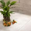 GeoCeramica 60x60x4 cm Motion Shell Beige