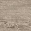 GeoCeramica Starter 30x120x4 cm Carpenter Mud