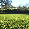 Kunstgras Royal Grass Verano - 4 mtr breed