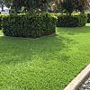 Kunstgras Royal Grass Verano - 4 mtr breed