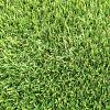 Restpartij Kunstgras X RG Azoren Faial 25 x 2 mtr    (BNR:PROD-68-19-0361)