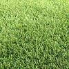 Restpartij Kunstgras X RG Azoren Horta 12.1 x 2 mtr    (BNR:PROD-68-19-0025)