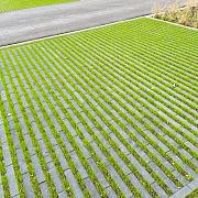 Restpartij Hydro Lineo 30x10x10cm 22 Antraciet