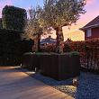 In-lite Ace Solitary Corten 12V-3W LED WW