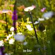 In-lite Sway Tube High  -  losse staander - 100 cm