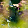 In-lite Sway Tube Low  -  losse staander - 60 cm
