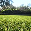 Kunstgras Royal Grass Verano - 4 mtr breed