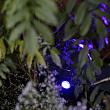 In-lite Smart Scope Tone