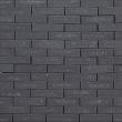 Gebakken waalformaat ongetrommeld Clayville Amsterdam 200x48x60mm