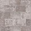 Abbeystones 20x30x6 cm getrommeld Certosa