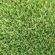 Restpartij Kunstgras X RG Azoren Faial 25 x 2 mtr    (BNR:PROD-68-19-0361)