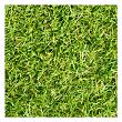 Restpartij Kunstgras X RG Azoren Graciosa 11.7 x 2 mtr    (BNR:PROD-68-20-0001)