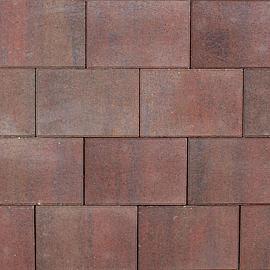 Tremico grootformaat 30x60x6cm Oud Bont