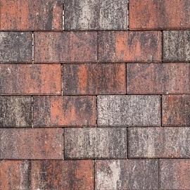 Tremico grootformaat* 30x60x6cm Twents Bont