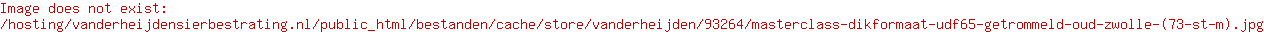 Masterclass Dikformaat UDF65 getrommeld Oud-Zwolle (73 st-m<sup>2</sup>)