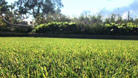 Kunstgras Royal Grass Verano - 4 mtr breed