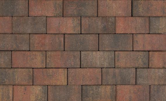 Tremico BKK 7cm           10.5x21x7cm Bont