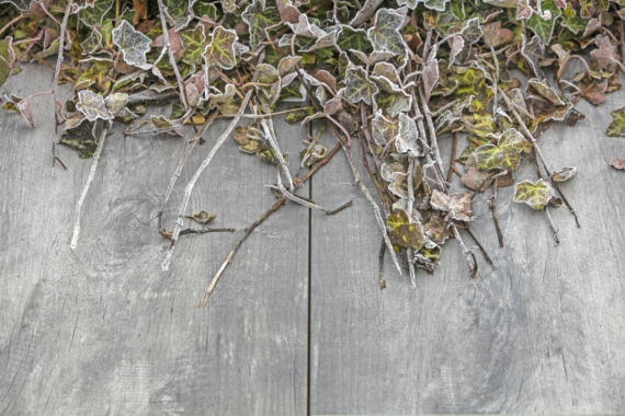 GeoCeramica 40x80x4 cm Timber Grigio