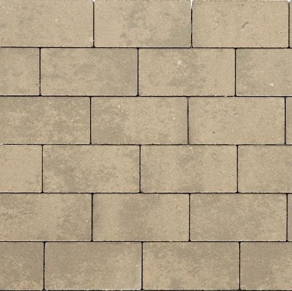 GeoCotto BSS Loto 21x10.5x8 cm