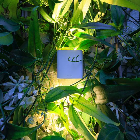 In-lite Ace Up-Down Wall 100-230V White 8.5W