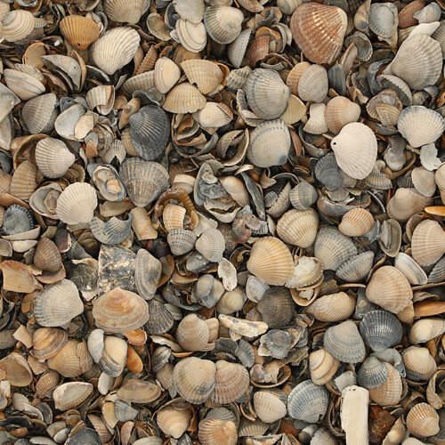 17 LTR Schelpen 8-16mm