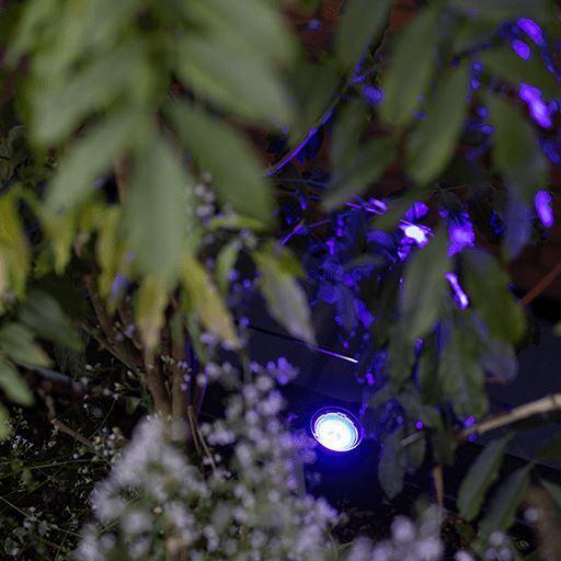 In-lite Smart Scope Tone